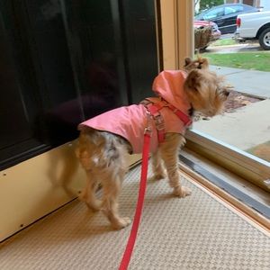 Meet your Posher, Leigh ann